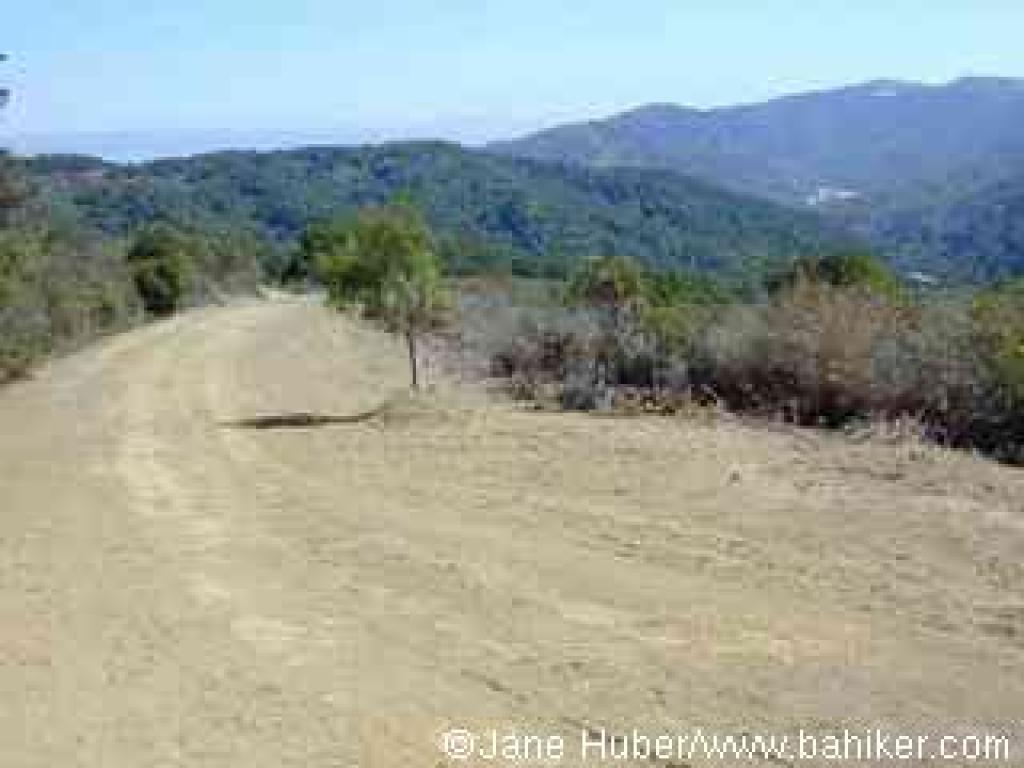 Ridge Trail