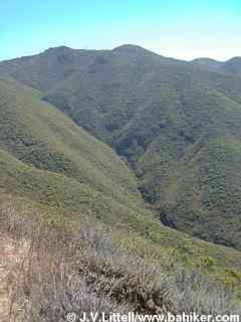 View uphill from North Peak Access Road