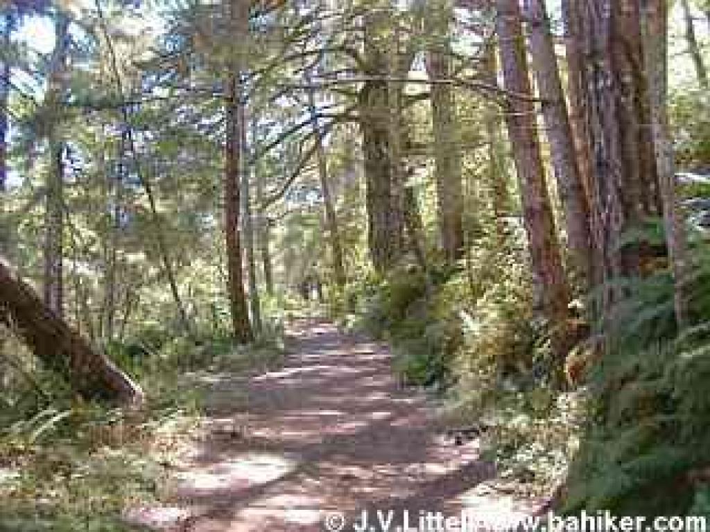 Pomponio Trail