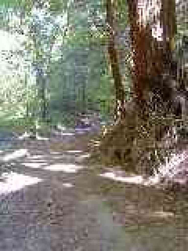 Pomponio Trail