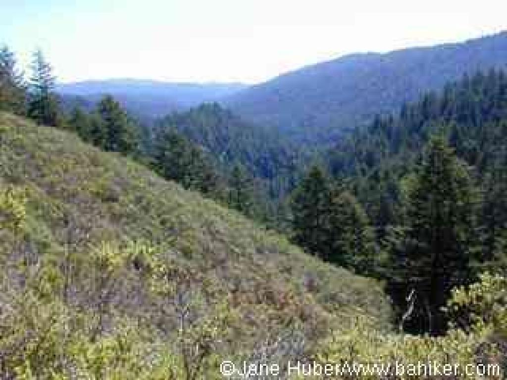 View from Pomponio Trail