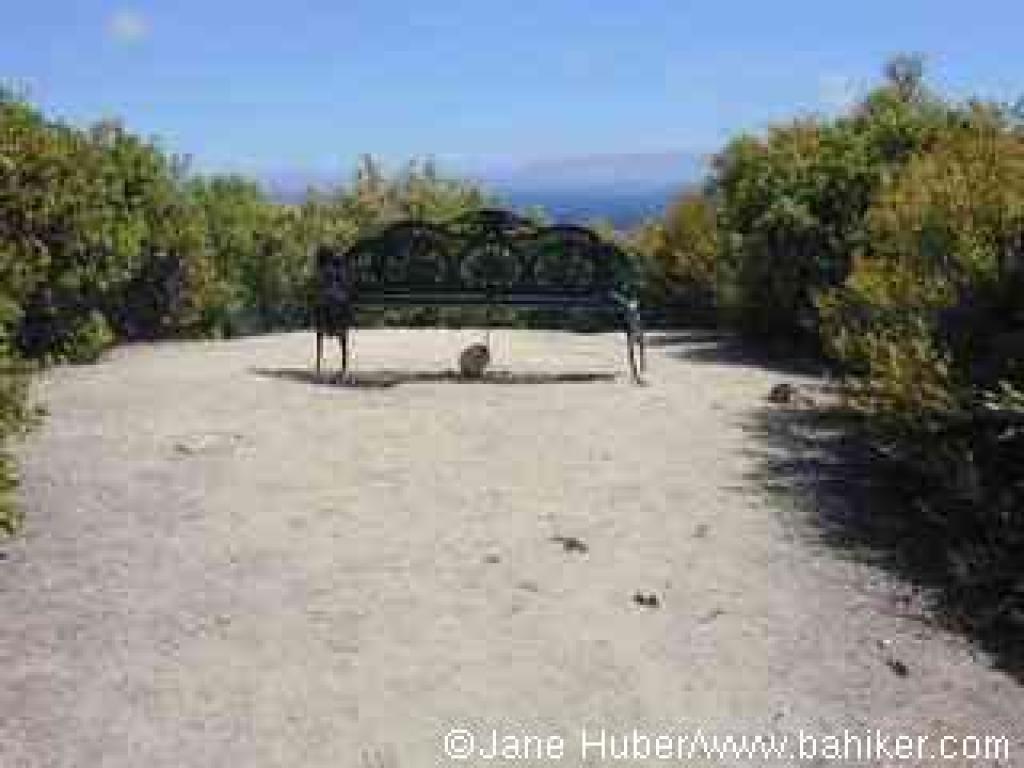 Lookout Point