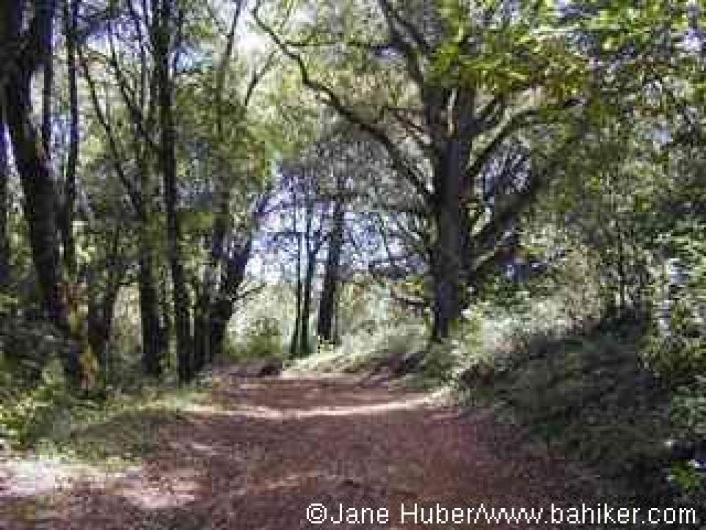 Canyon Trail