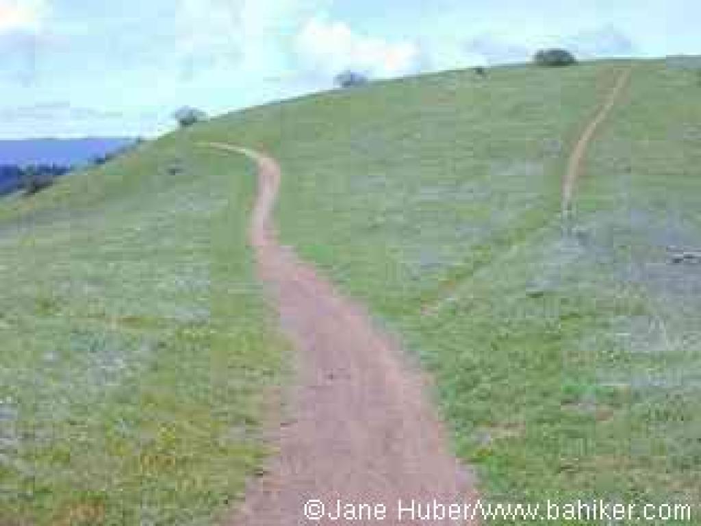 Old Ranch Trail, with a path to a viewpoint on the right