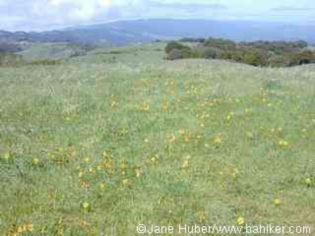 Hilltop view north