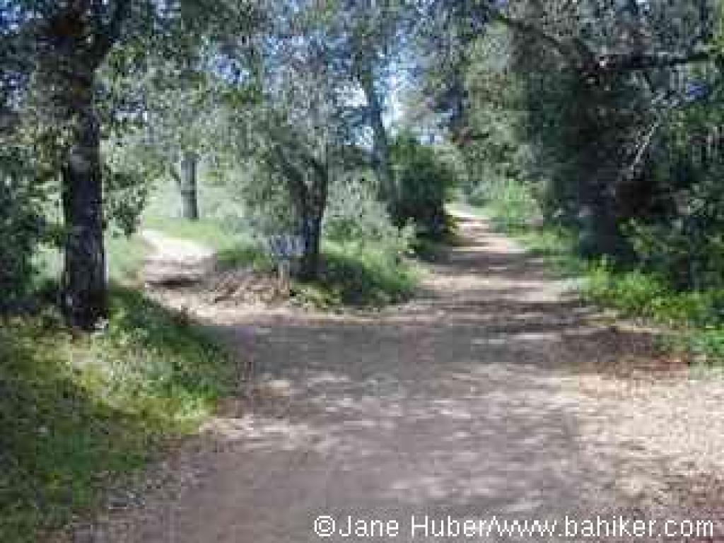 Canyon Trail and junction with the trail back to the trailhead 