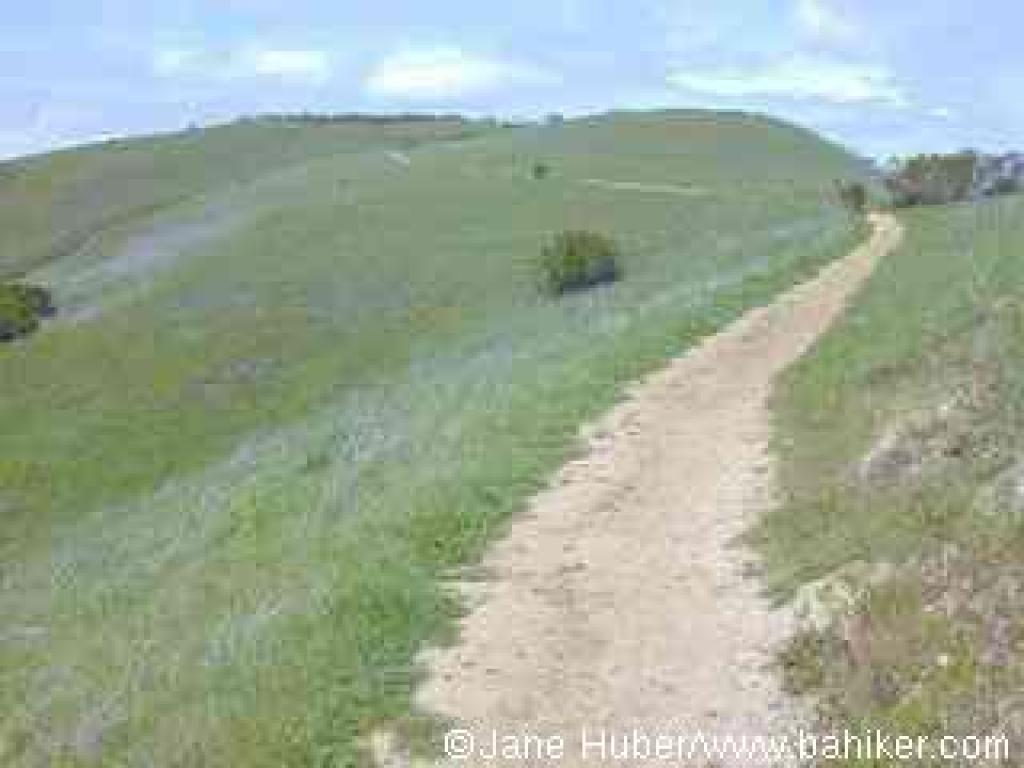 Returning north, to the trailhead