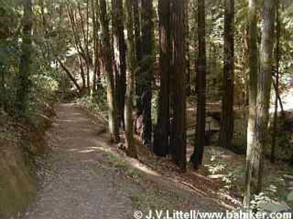 Crystal Springs Trail