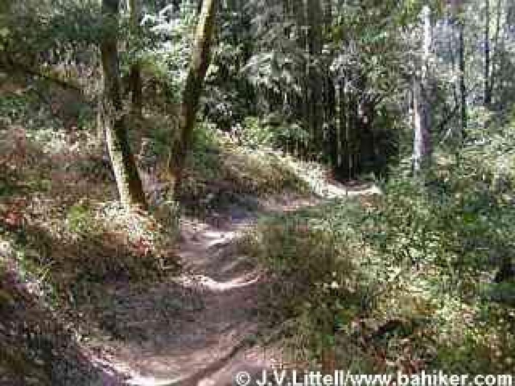Miramontes Trail