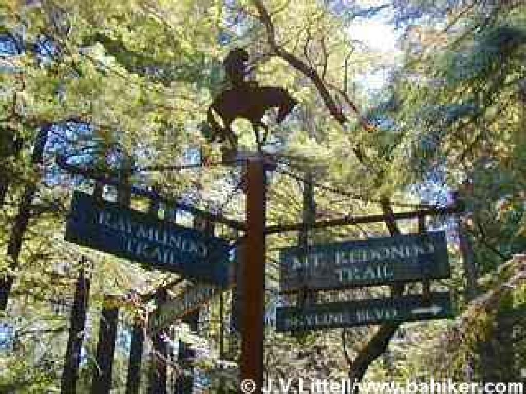 Phleger Estate sign
