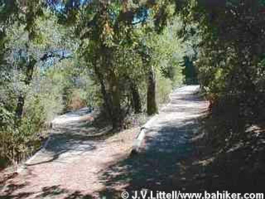 Chickadee Trail
