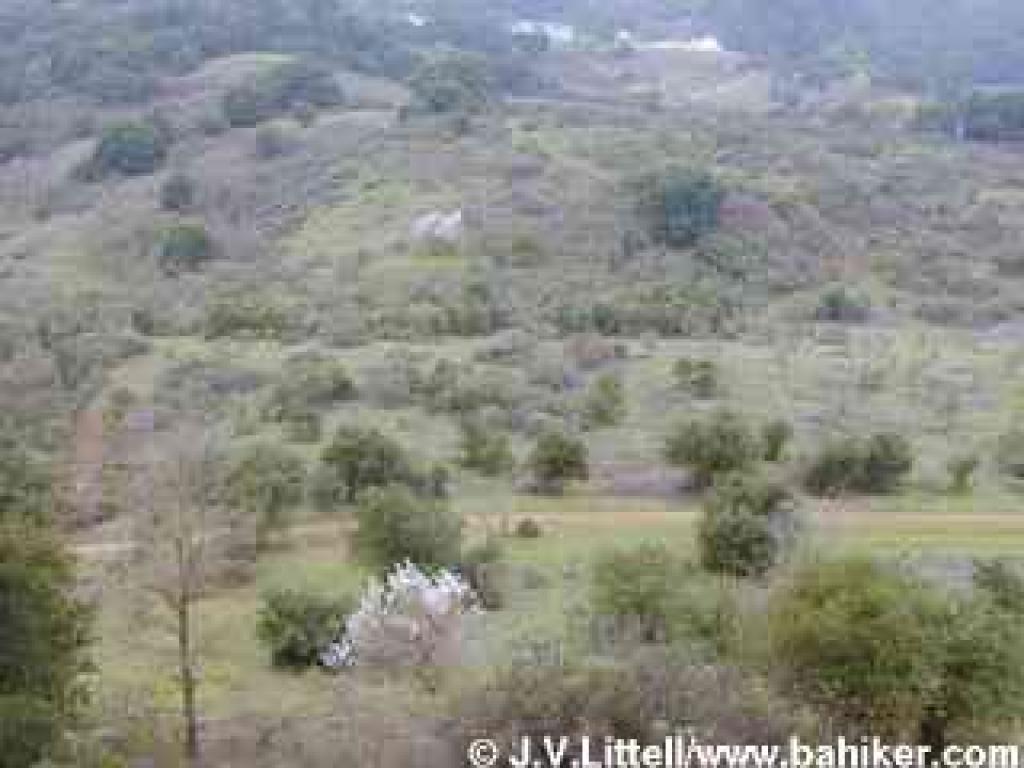 View from the hilltop