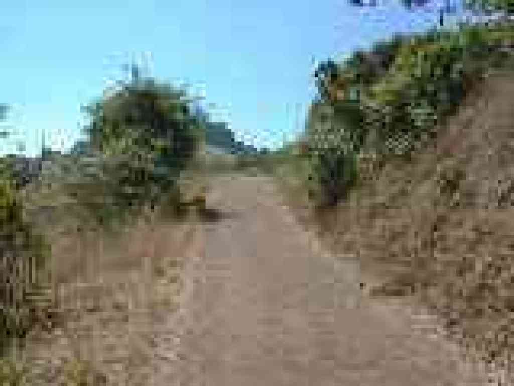 Zinfandel Trail