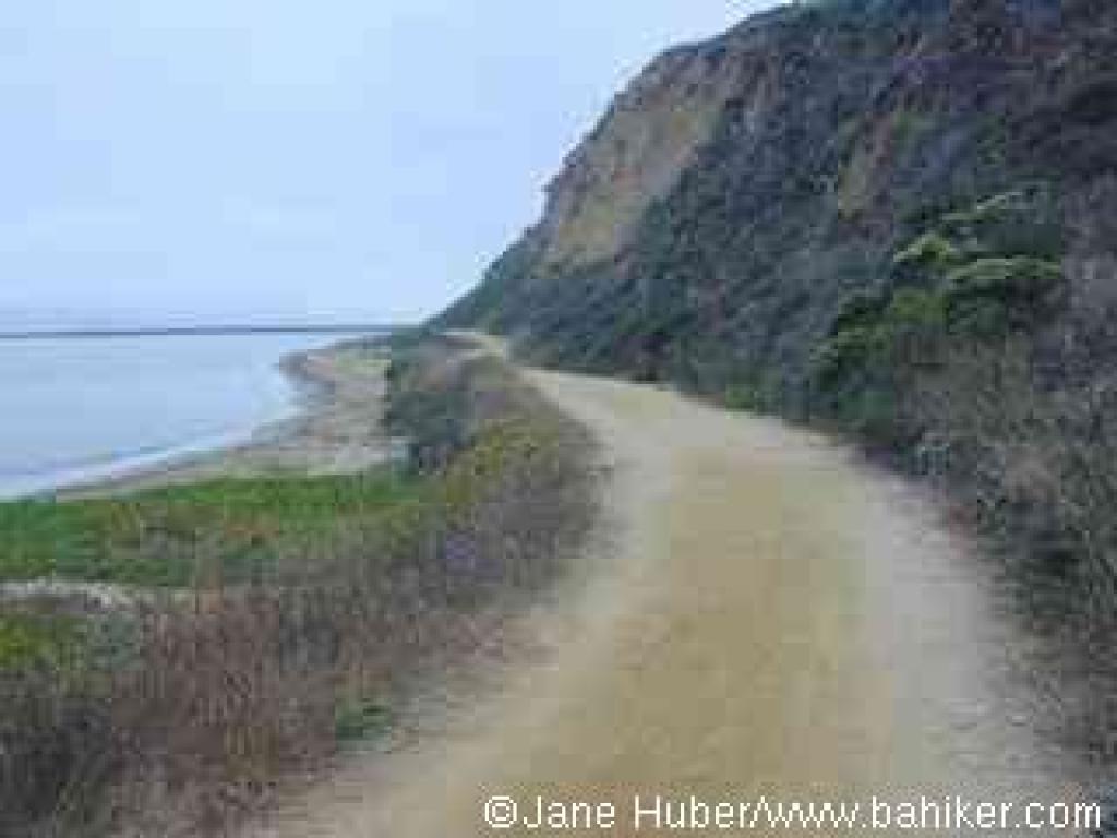 Trail to Pillar Point