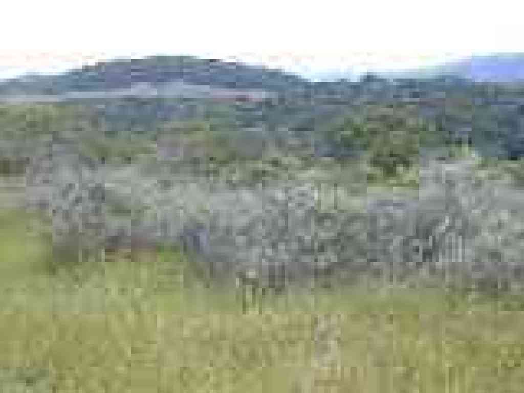 Photo of Pulgas Ridge Open Space Preserve