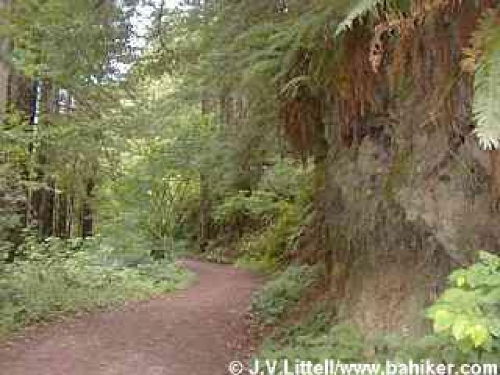 Purisima Creek Trail photo