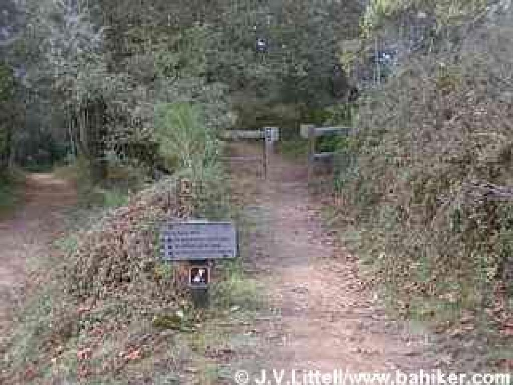 Photo of the hiking only trail which runs along North Ridge Trail