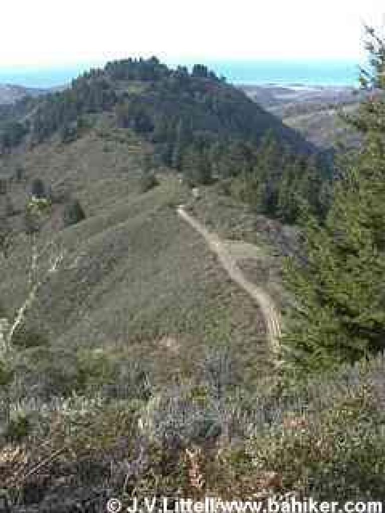 Photo of view to North Ridge Trail
