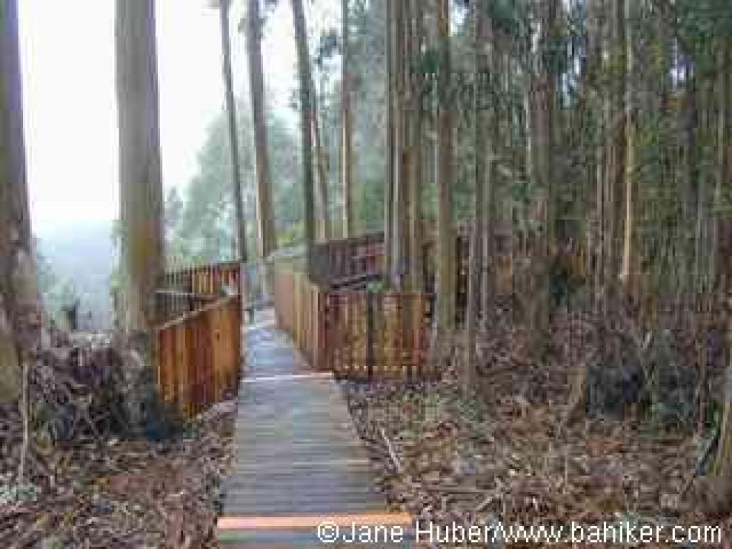 Boardwalk to viewing area