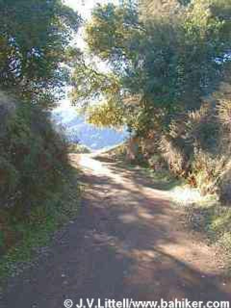 Rhus Ridge Trail