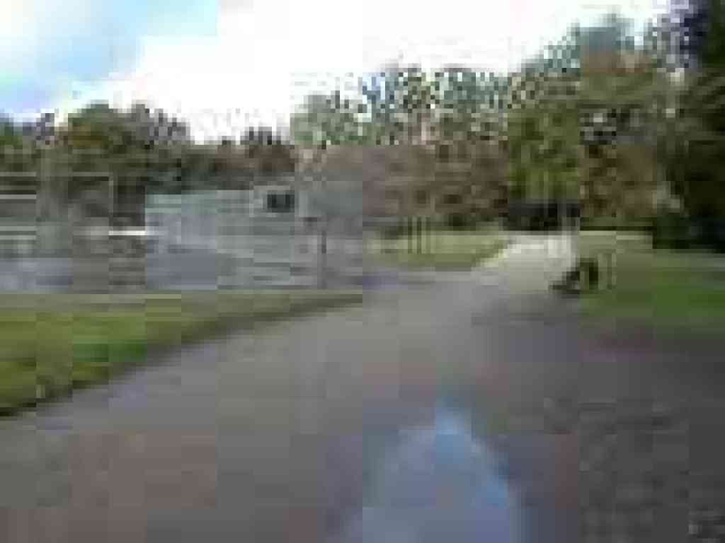 Photo of trails past tennis courts