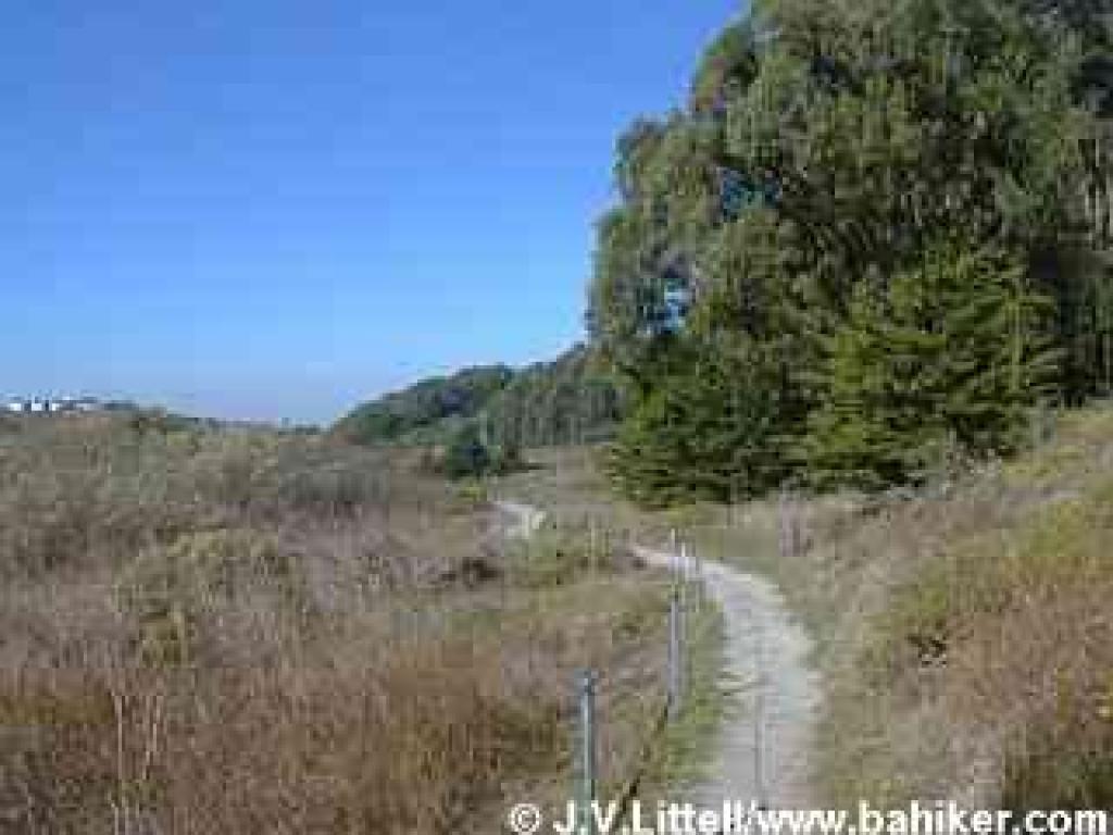 Bog Trail