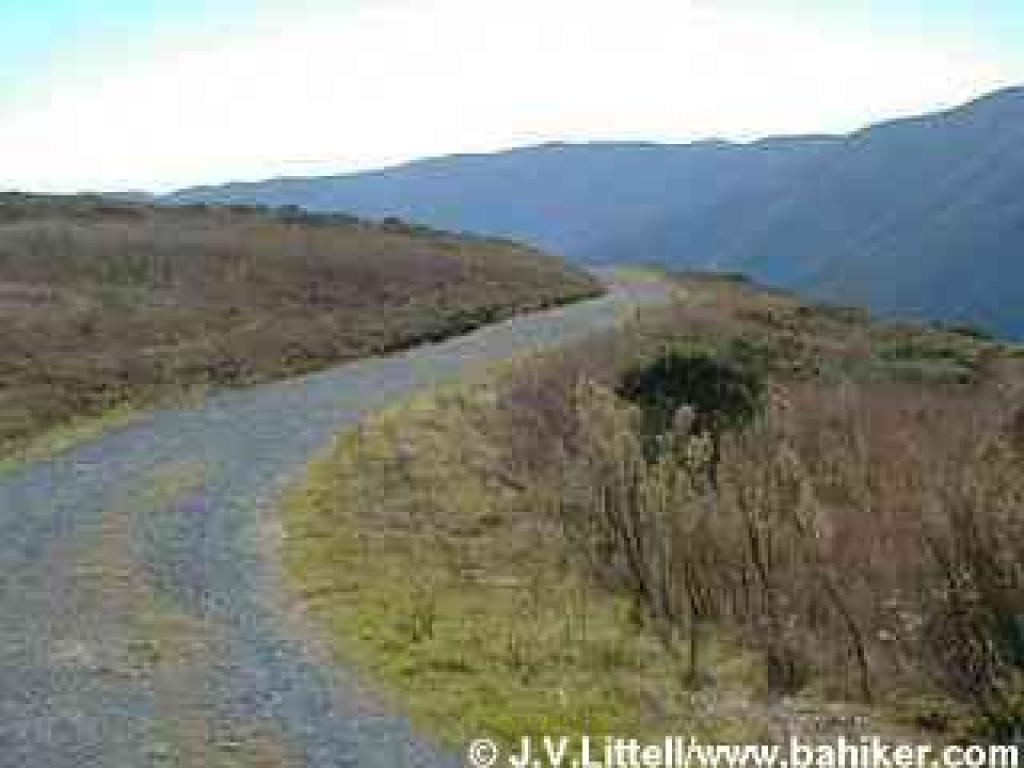 Saddle Trail