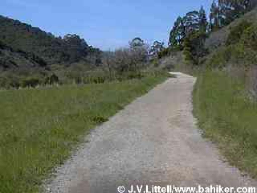Weiler Ranch Road