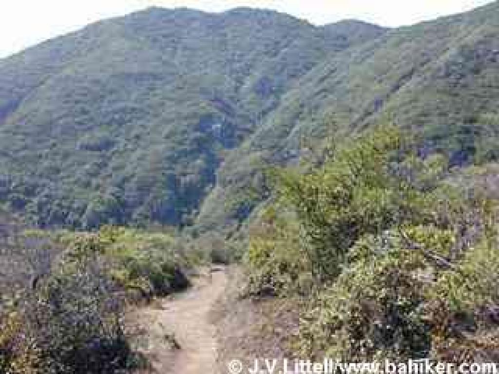 Brooks Falls Trail
