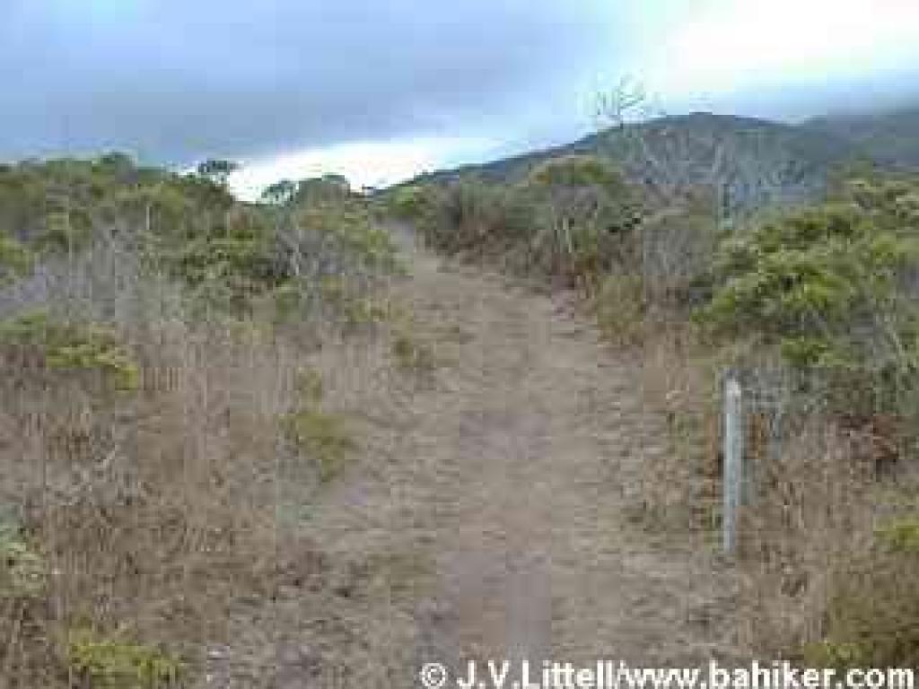 Valley View Trail