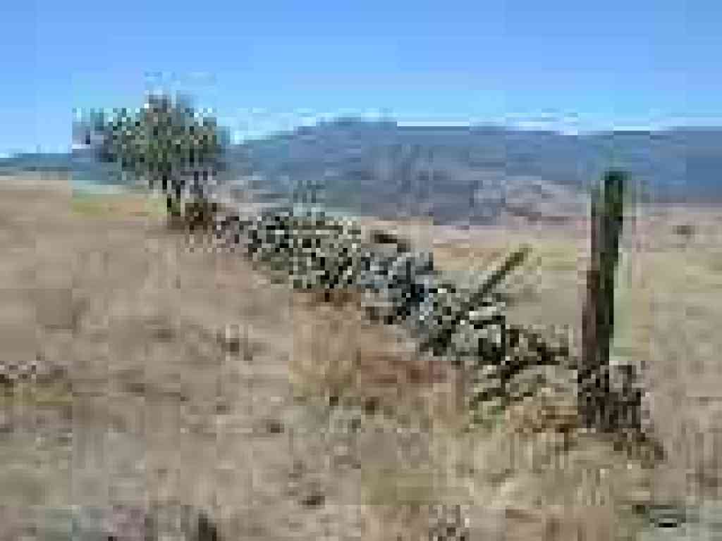 Old stone fence at Santa Teresa