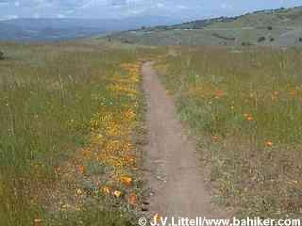 Rocky Ridge Trail in spring