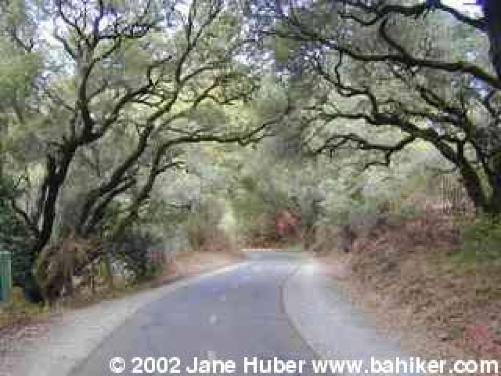 Sawyer Camp Trail
