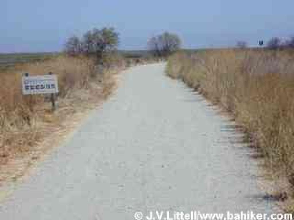 Palo Alto's Baylands