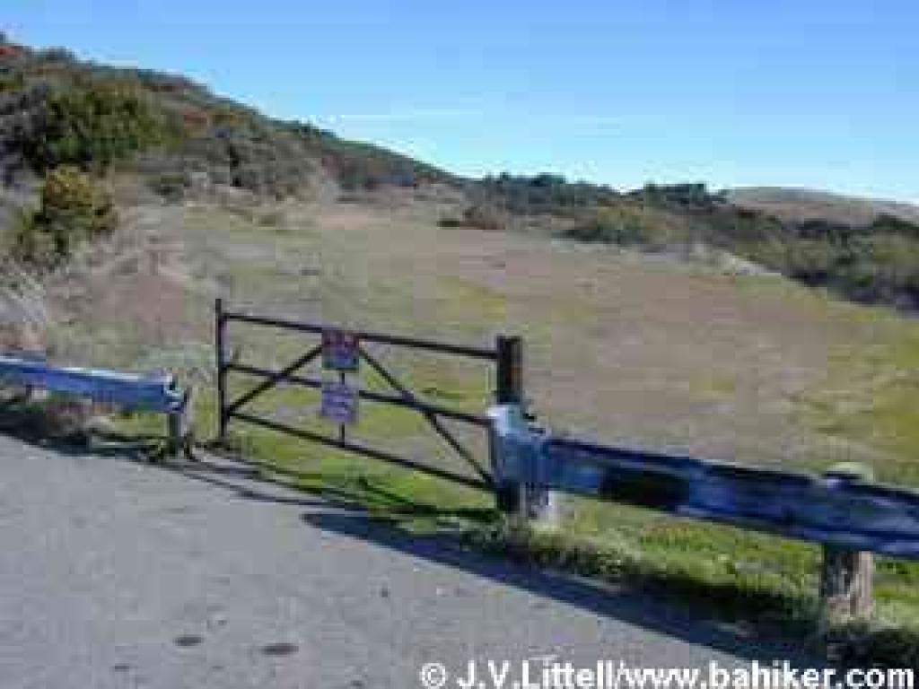 Bald Mountain Trail