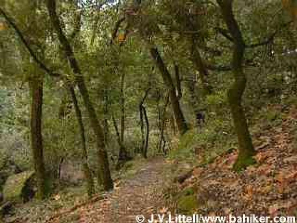 Photo of Bay Area Ridge Trail