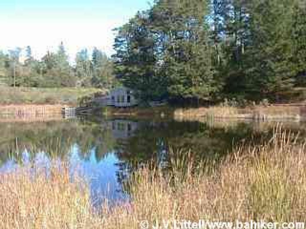 Photo of Alpine Pond
