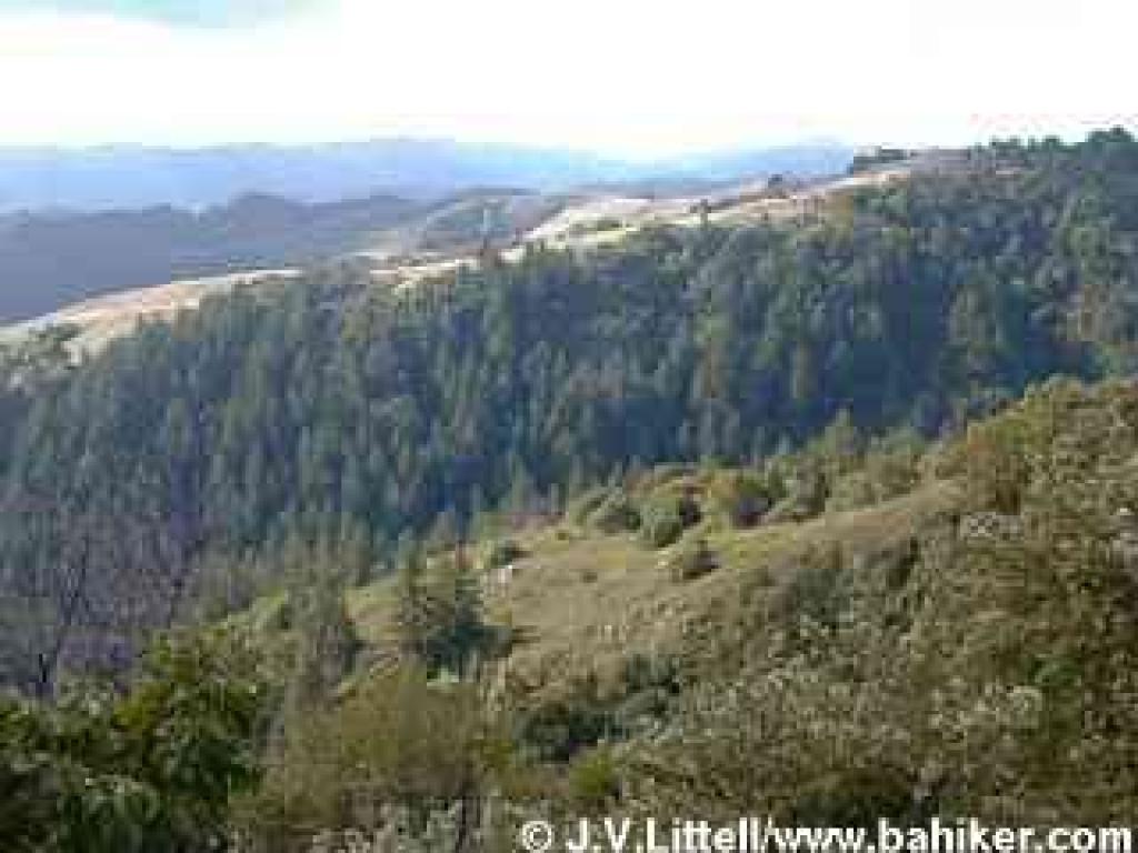 Photo of view from Ridge Trail