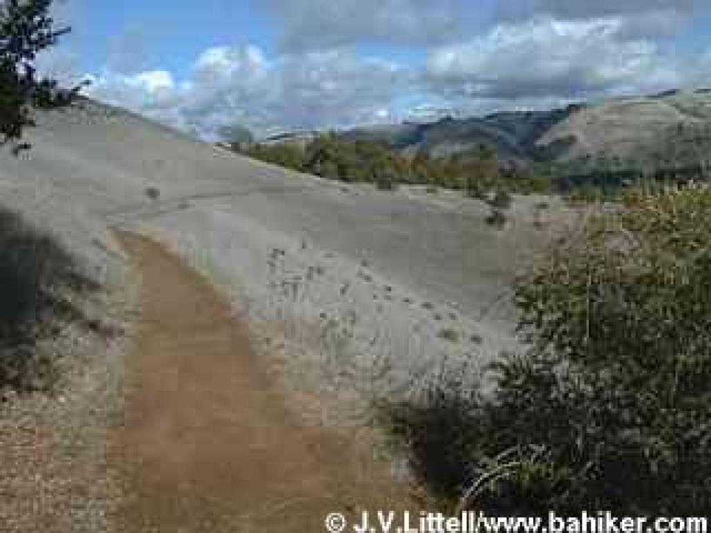 Photo of Ridge Trail, about to reach a junction