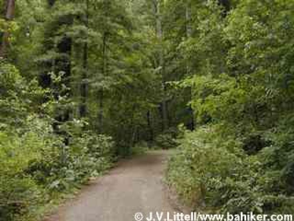 Towne Trail