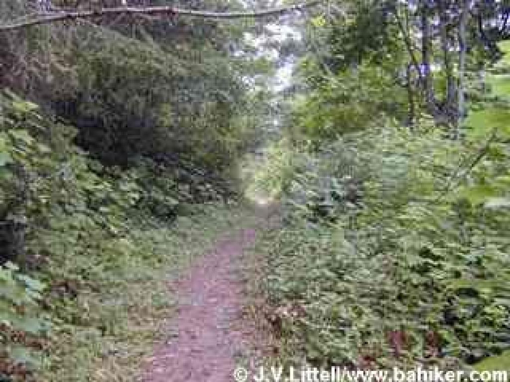 Climbing on Heritage Grove Trail