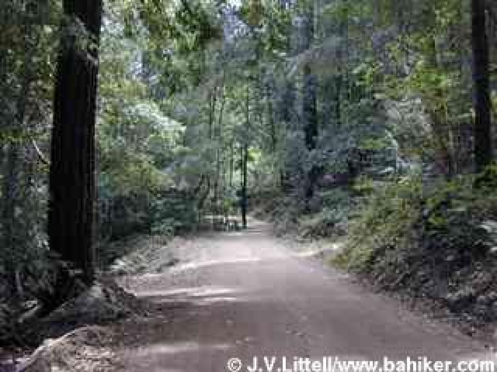 Climbing back up Hihn's Mill Road