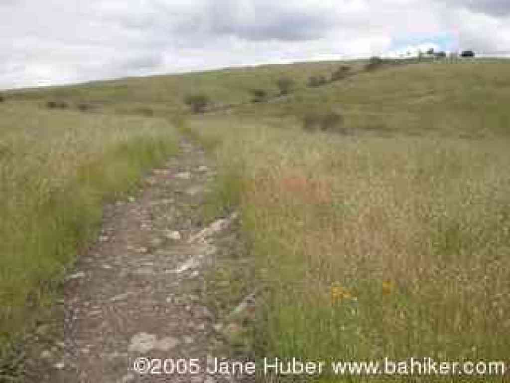 Stile Ranch Trail