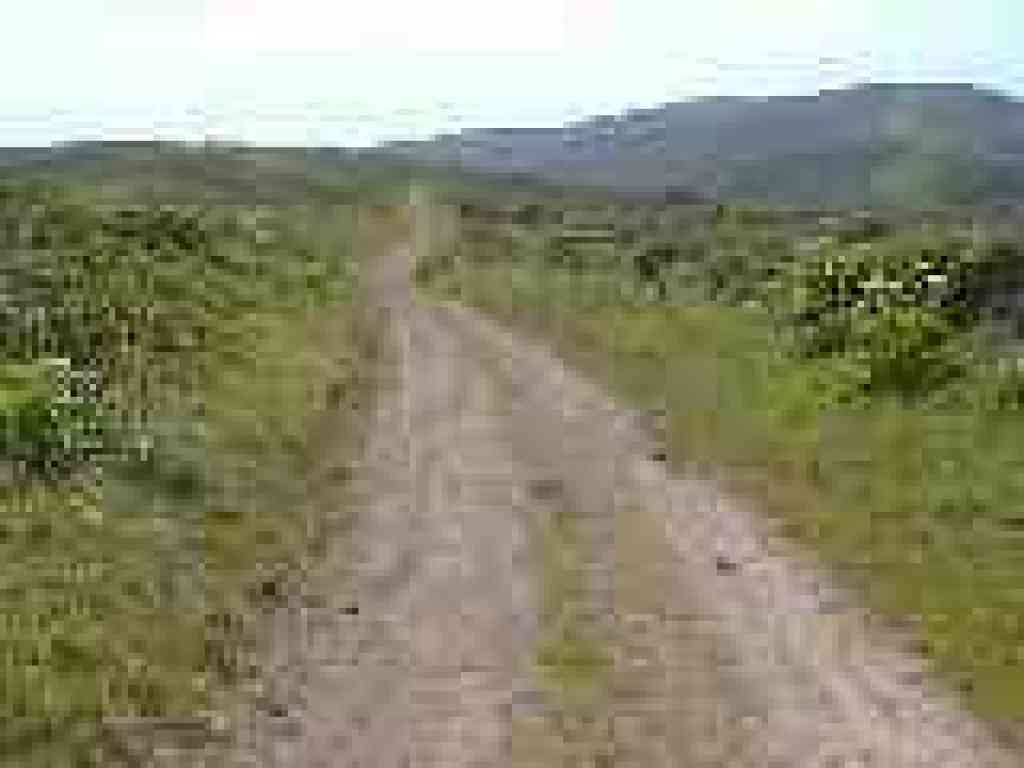 Sweeney Ridge Trail