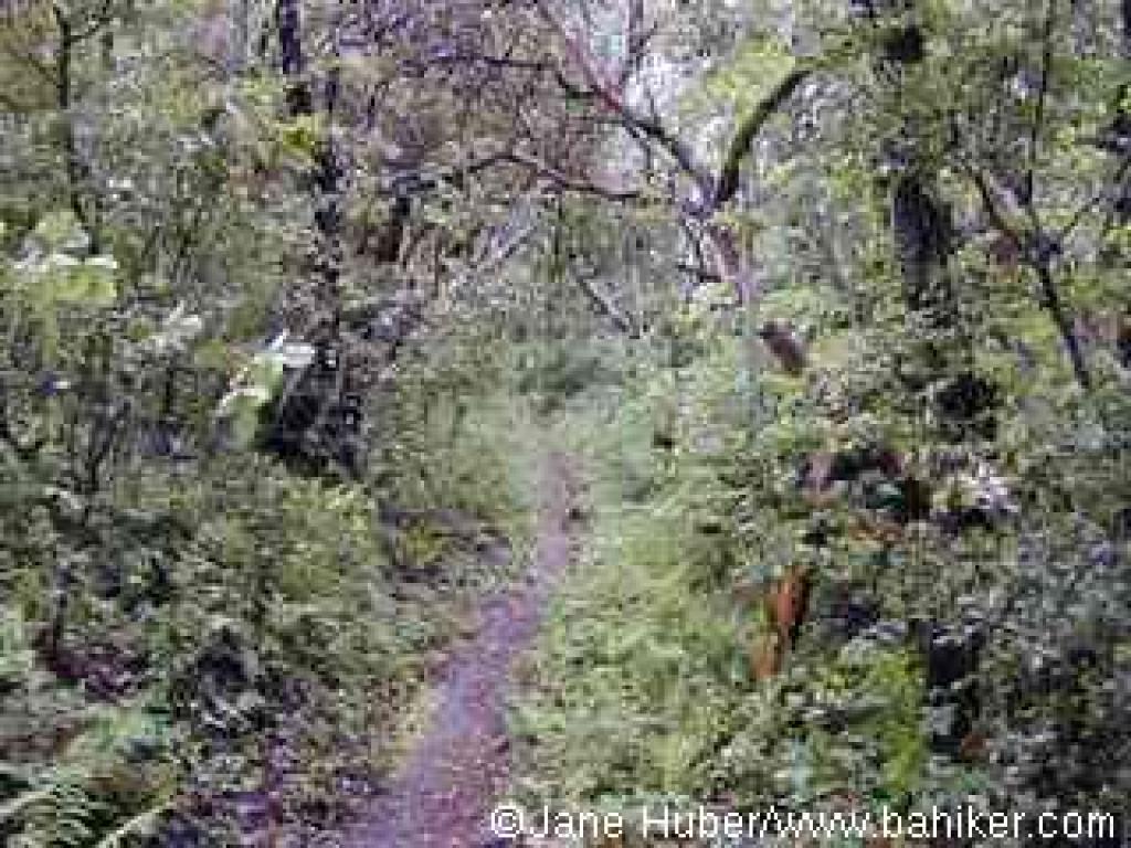 Alternate Trail