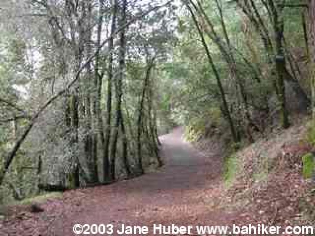 Alec Canyon Trail