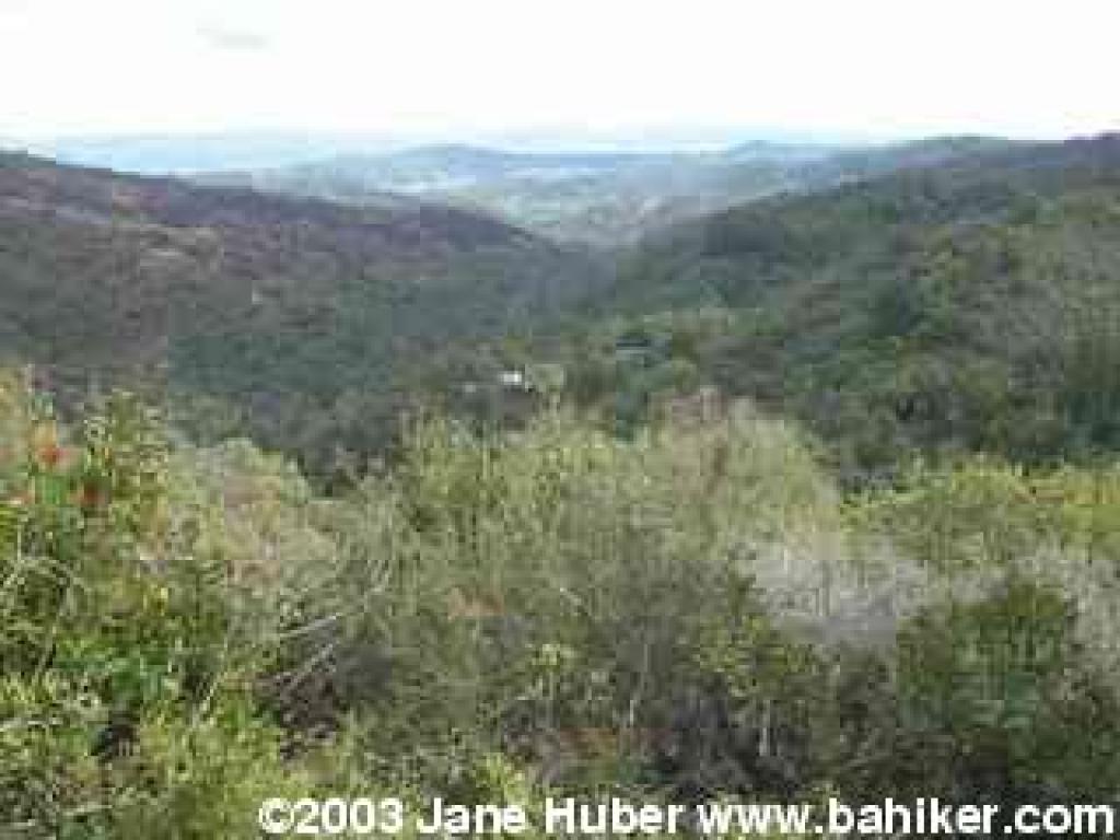 View from Manzanita Point