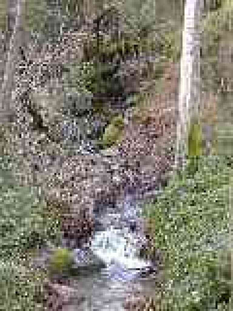 A side creek