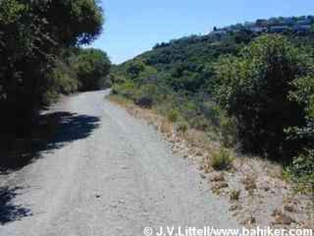 Trail down the edge of the canyon