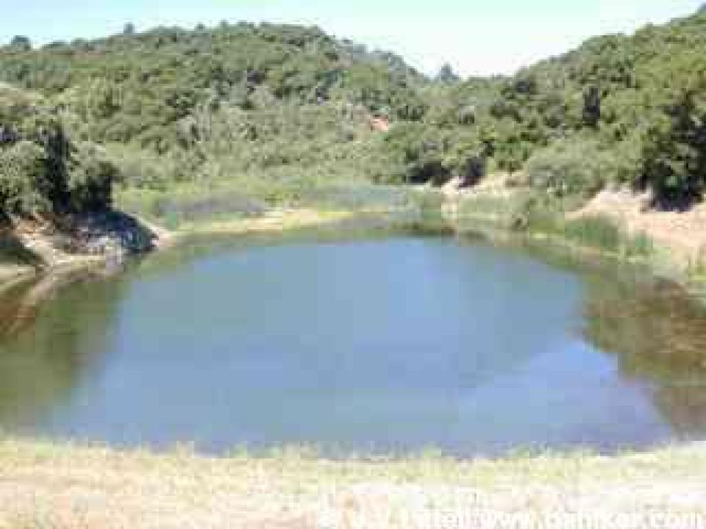 Waterdog Lake